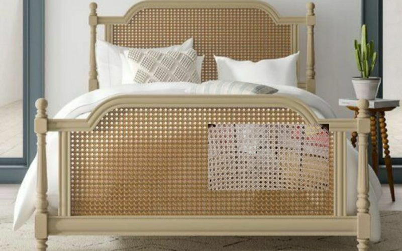 WhatsApp Image 2022-09-22 at 11.05.36 AM